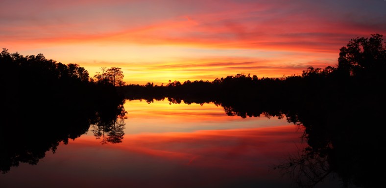 Blackwater State forest