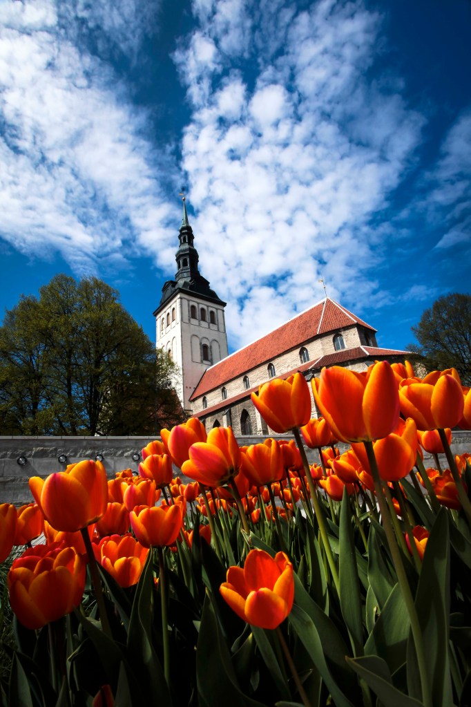 Niguliste Museum (St. Nicholas' Church)