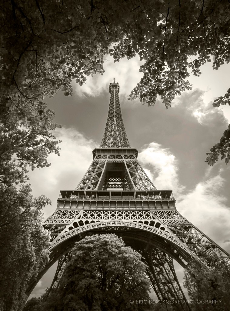 The Eiffel Tower through the trees