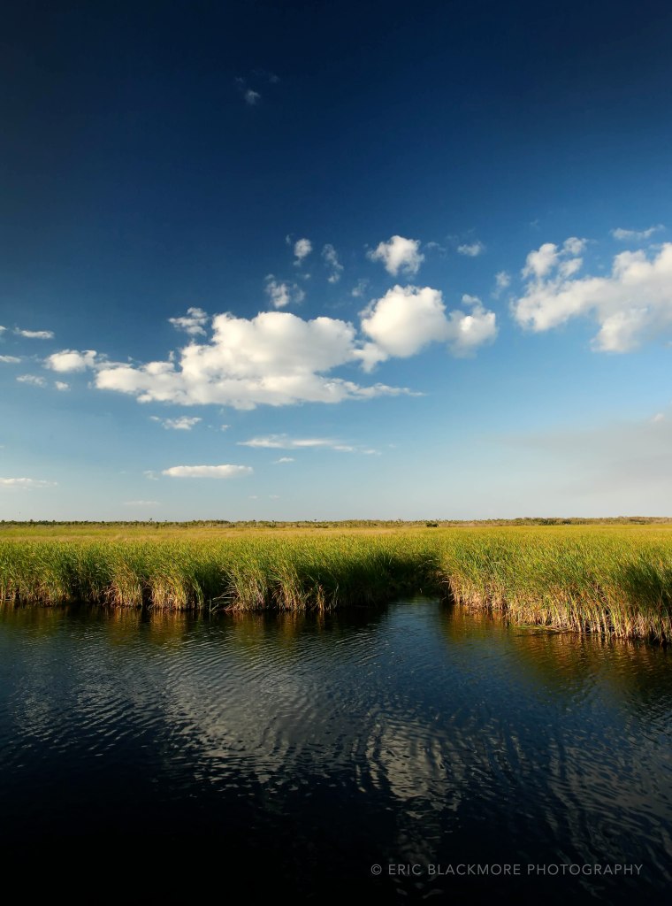 Fackahatchee, grass plains