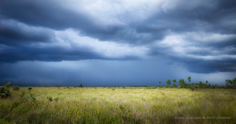 Storm brewing over the eastern Everglades.